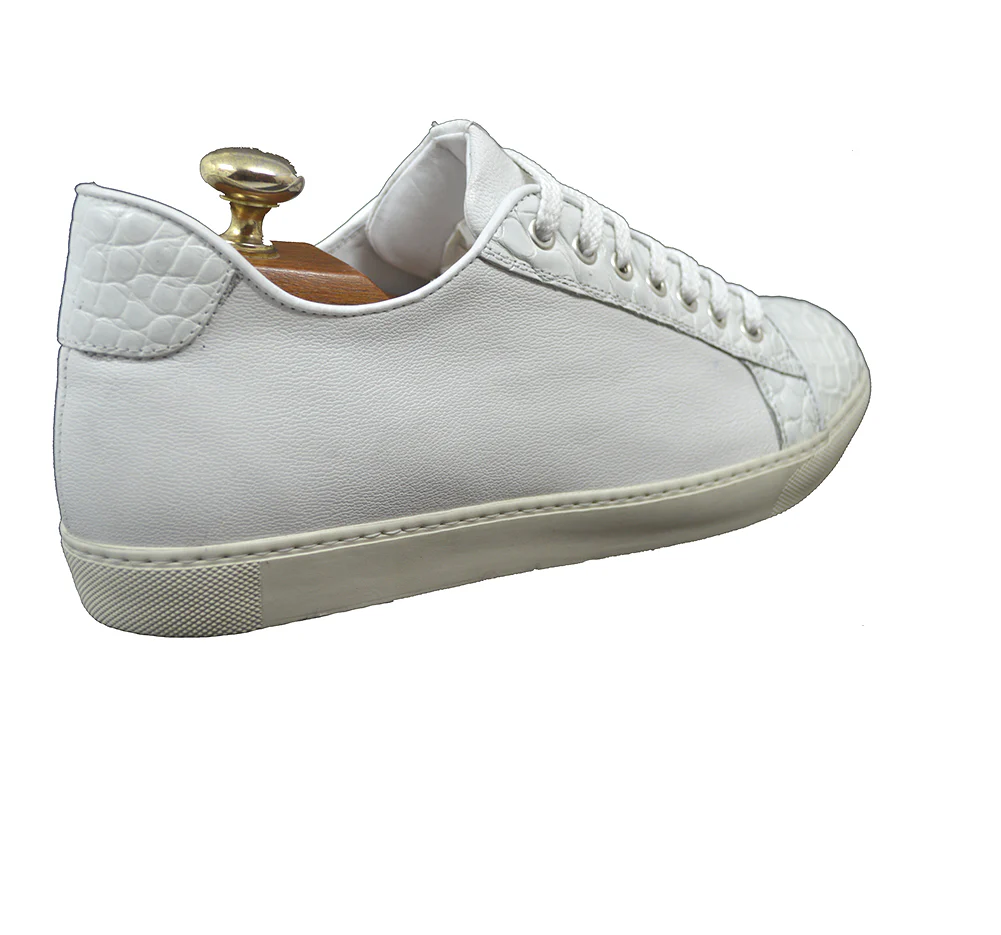 Calzoleria Toscana 5584 Crocodile Sneaker - Image 3