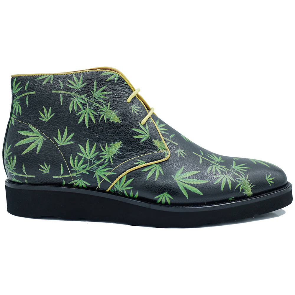 Hi Top